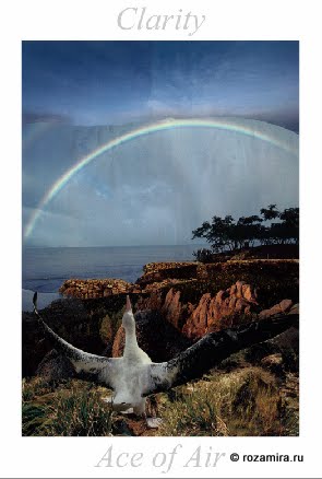 Nature Tarot by Jan Strube